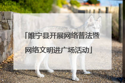 睢宁县开展网络普法暨网络文明进广场活动