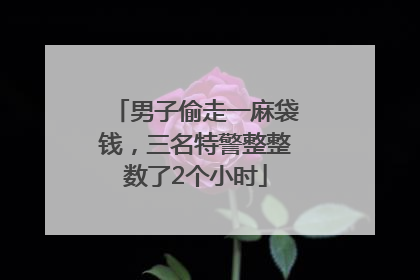 男子偷走一麻袋钱，三名特警整整数了2个小时