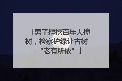 男子擅挖百年大樟树，检察护绿让古树“老有所依”