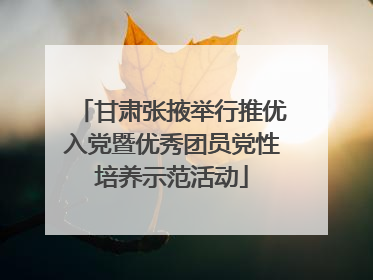 甘肃张掖举行推优入党暨优秀团员党性培养示范活动