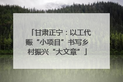 甘肃正宁：以工代赈“小项目”书写乡村振兴“大文章”