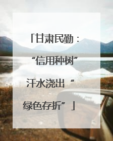 甘肃民勤：“信用种树” 汗水浇出“绿色存折”