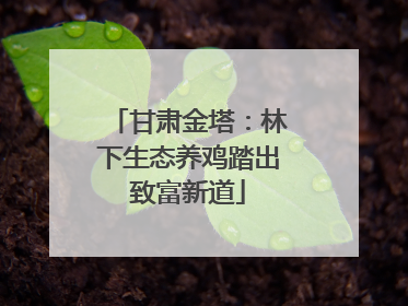 甘肃金塔：林下生态养鸡踏出致富新道