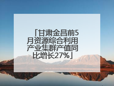 甘肃金昌前5月资源综合利用产业集群产值同比增长27%