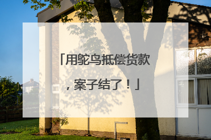 用鸵鸟抵偿货款，案子结了！