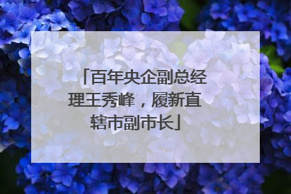 百年央企副总经理王秀峰，履新直辖市副市长