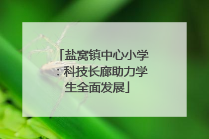 盐窝镇中心小学：科技长廊助力学生全面发展