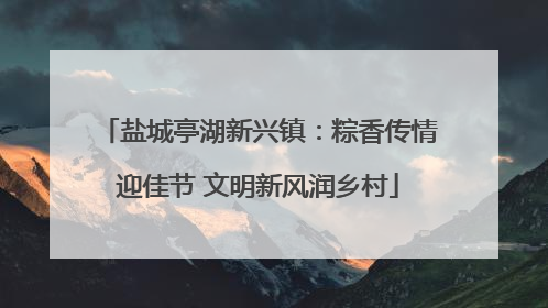 盐城亭湖新兴镇：粽香传情迎佳节 文明新风润乡村
