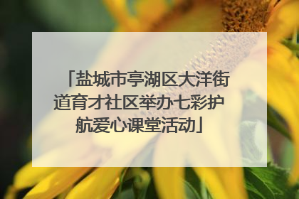 盐城市亭湖区大洋街道育才社区举办七彩护航爱心课堂活动