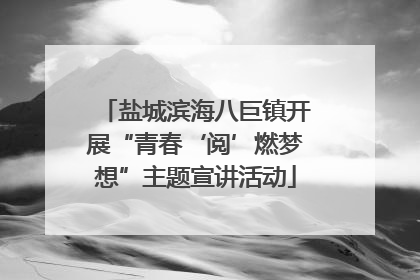 盐城滨海八巨镇开展“青春‘阅’燃梦想”主题宣讲活动
