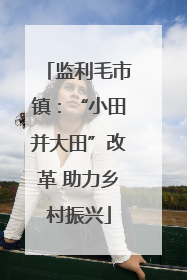 监利毛市镇：“小田并大田”改革 助力乡村振兴