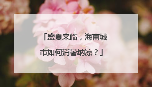 盛夏来临，海南城市如何消暑纳凉？