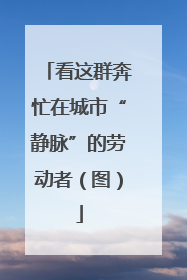 看这群奔忙在城市“静脉”的劳动者（图）