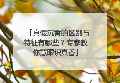 真假沉香的区别与特征有哪些？专家教你慧眼识真香