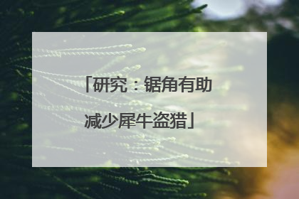 研究：锯角有助减少犀牛盗猎
