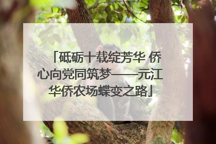 砥砺十载绽芳华 侨心向党同筑梦——元江华侨农场蝶变之路