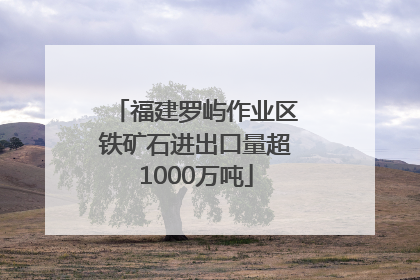 福建罗屿作业区铁矿石进出口量超1000万吨