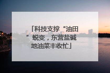 科技支撑“油田”蜕变，东营盐碱地油菜丰收忙