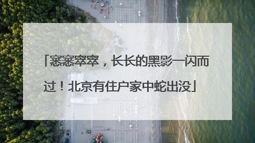 窸窸窣窣，长长的黑影一闪而过！北京有住户家中蛇出没