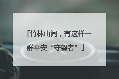 竹林山间，有这样一群平安“守望者”