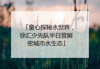 童心探秘水世界，徐汇少先队半日营解密城市水生态
