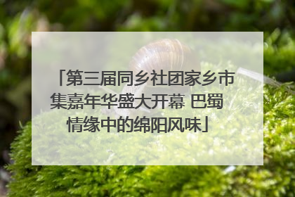 第三届同乡社团家乡市集嘉年华盛大开幕 巴蜀情缘中的绵阳风味