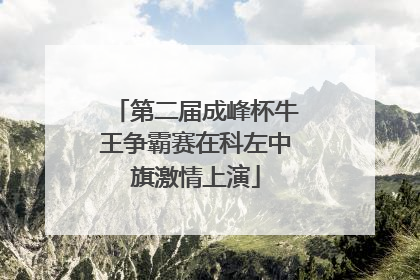 第二届成峰杯牛王争霸赛在科左中旗激情上演