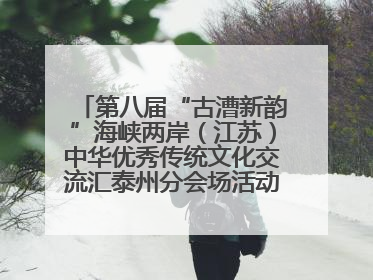 第八届“古漕新韵”海峡两岸（江苏）中华优秀传统文化交流汇泰州分会场活动成功举办