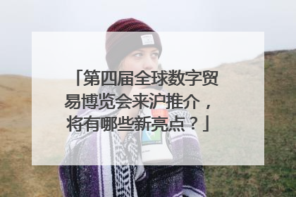 第四届全球数字贸易博览会来沪推介，将有哪些新亮点？
