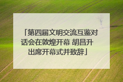 第四届文明交流互鉴对话会在敦煌开幕 胡昌升出席开幕式并致辞
