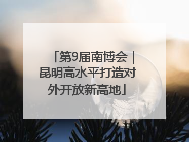 第9届南博会｜昆明高水平打造对外开放新高地