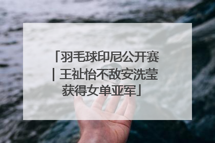 羽毛球印尼公开赛｜王祉怡不敌安洗莹 获得女单亚军