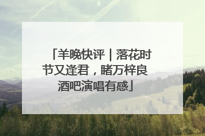 羊晚快评｜落花时节又逢君，睹万梓良酒吧演唱有感