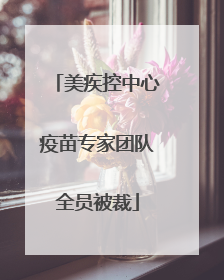美疾控中心疫苗专家团队全员被裁