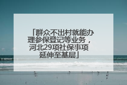 群众不出村就能办理参保登记等业务，河北29项社保事项延伸至基层