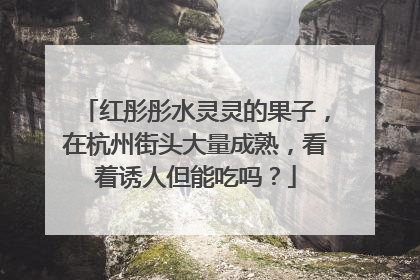红彤彤水灵灵的果子，在杭州街头大量成熟，看着诱人但能吃吗？