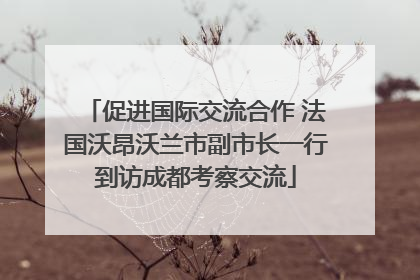 促进国际交流合作 法国沃昂沃兰市副市长一行到访成都考察交流