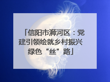 信阳市浉河区：党建引领绘就乡村振兴绿色“丝”路