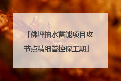 佛坪抽水蓄能项目攻节点精细管控保工期