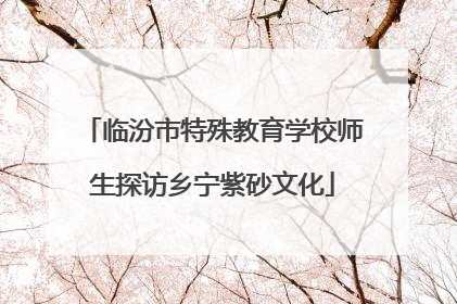 临汾市特殊教育学校师生探访乡宁紫砂文化