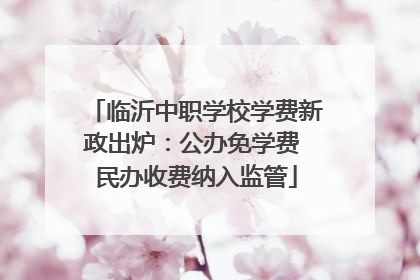 临沂中职学校学费新政出炉：公办免学费 民办收费纳入监管