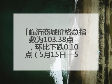 临沂商城价格总指数为103.38点，环比下跌0.10点（5月15日—5月21日）