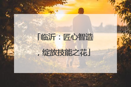 临沂：匠心智造，绽放技能之花