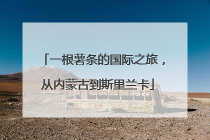 一根薯条的国际之旅，从内蒙古到斯里兰卡