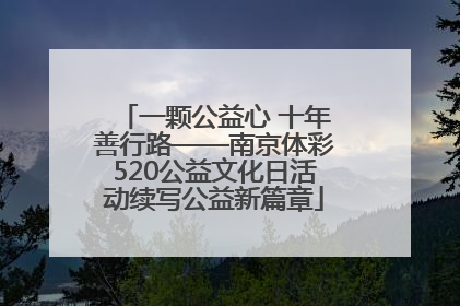 一颗公益心 十年善行路——南京体彩520公益文化日活动续写公益新篇章