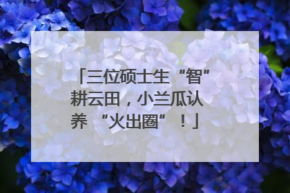 三位硕士生“智” 耕云田，小兰瓜认养 “火出圈”！