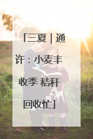三夏｜通许：小麦丰收季 秸秆回收忙