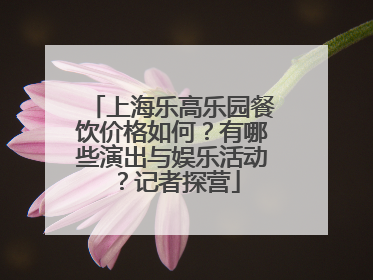 上海乐高乐园餐饮价格如何？有哪些演出与娱乐活动？记者探营