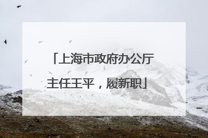 上海市政府办公厅主任王平，履新职