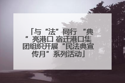 与“法”同行 “典”亮港口 宿迁港口集团组织开展“民法典宣传月”系列活动